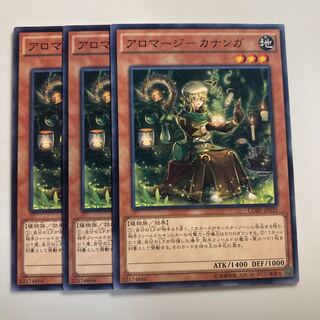 7697 アロマージ-カナンガ ノーマル JP035