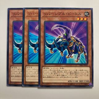 7705 リバーシブル・ビートル ノーマル JP035