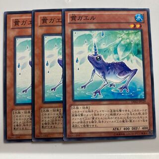 7715 貫ガエル ノーマル JP029