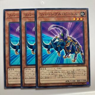 7723 リバーシブル・ビートル ノーマル JP035