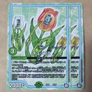 チュップII　2枚 2枚