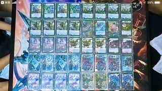 アナカラーシャコガイル