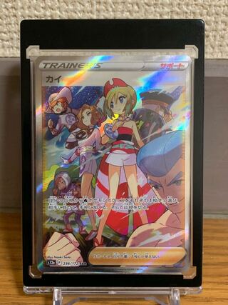 【縦、横線、シロカケなし！】カイ F236/172 SAR