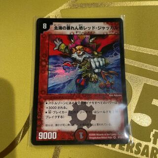 北海の暴れん坊レッド・ジャッカル VR 8/110/Y5