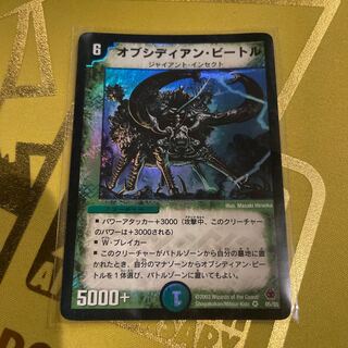 Obsidian Scarab VR 5/55