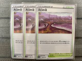 Large Swamp 166/172②.