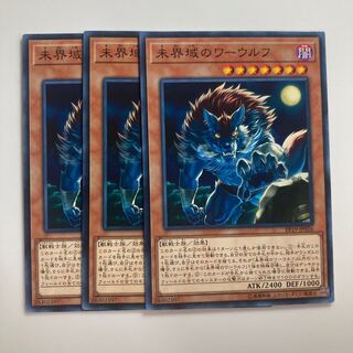 未界域のワーウルフ $1804