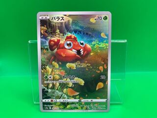 パラス AR 207/172 1枚