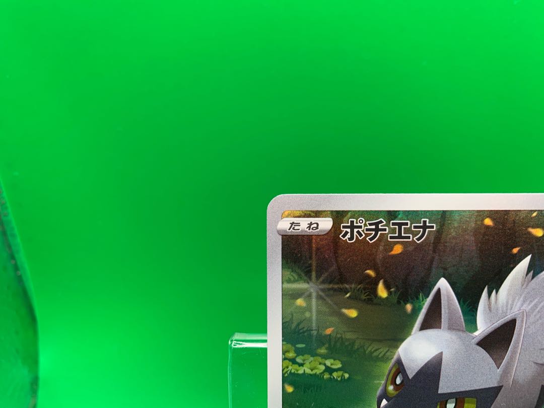 Poochyena AR 208/172