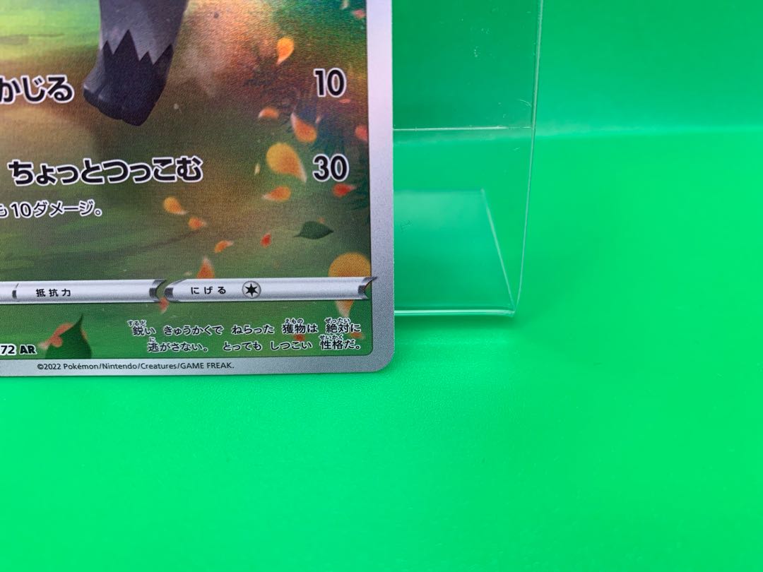 Poochyena AR 208/172