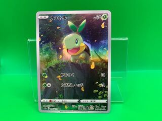 Turtwig AR 206/172