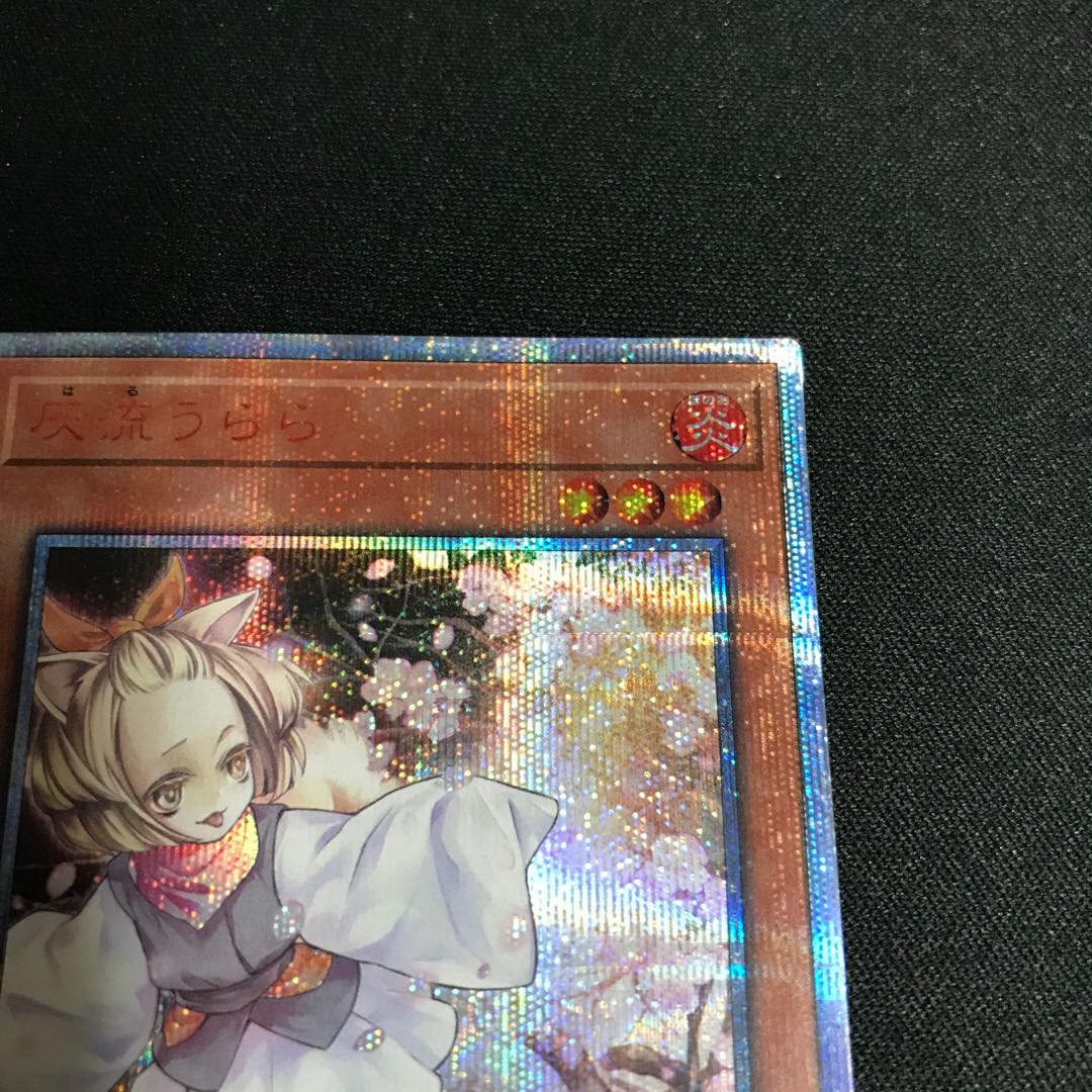 Ash Blossom & Joyous Spring 20th Secret Rare JPC85 [000175].