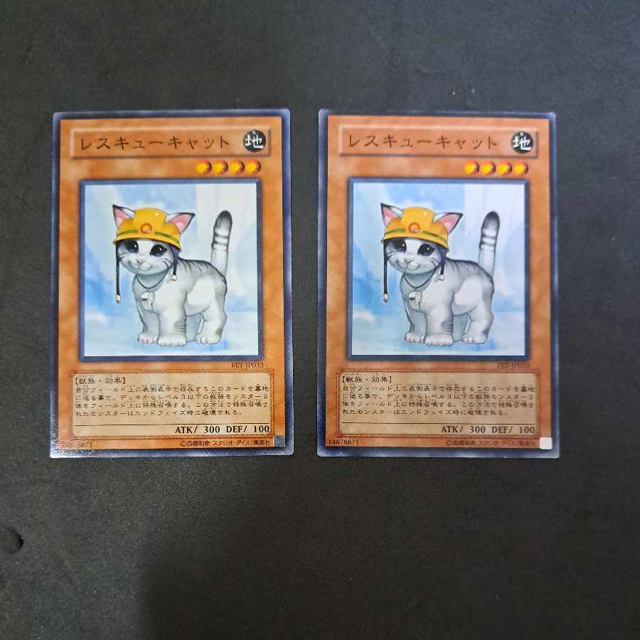 No.411 Yu-Gi-Oh! Rescue Cat Two