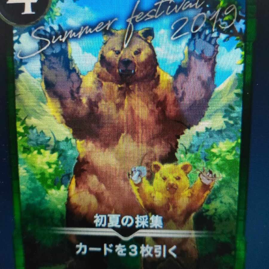 2枚組 初夏の採集