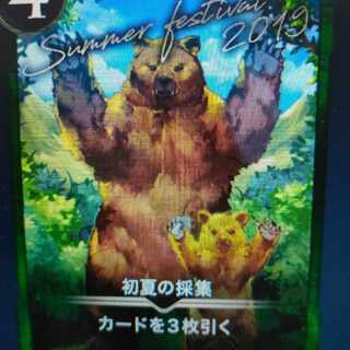 2枚組 初夏の採集