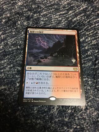 MTG　嵐削りの海岸　銀幕FOIL　DBL　3枚セット 嵐削りの海岸」の激安通販 | magi