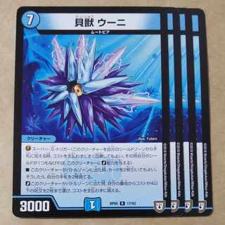 Shellfish, Uni, 4 pieces 4枚