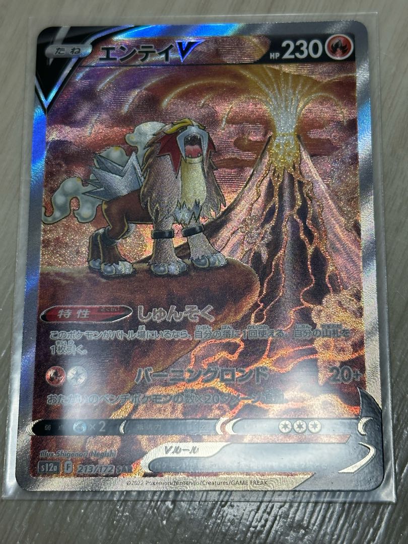 ［EnteiV SAR 213/172