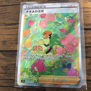 Gardenia's Vivify SAR 243/172 Beautiful!