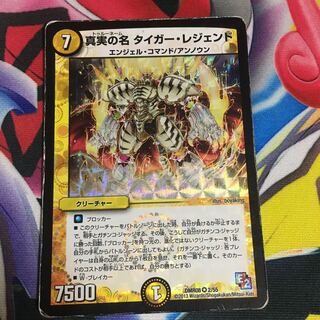 The True Name Tiger Legend VR 2/55