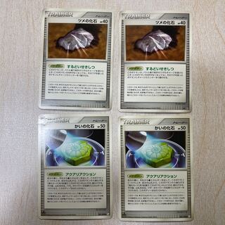 特価 ツメの化石、かいの化石