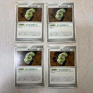 ねっこの化石 1枚