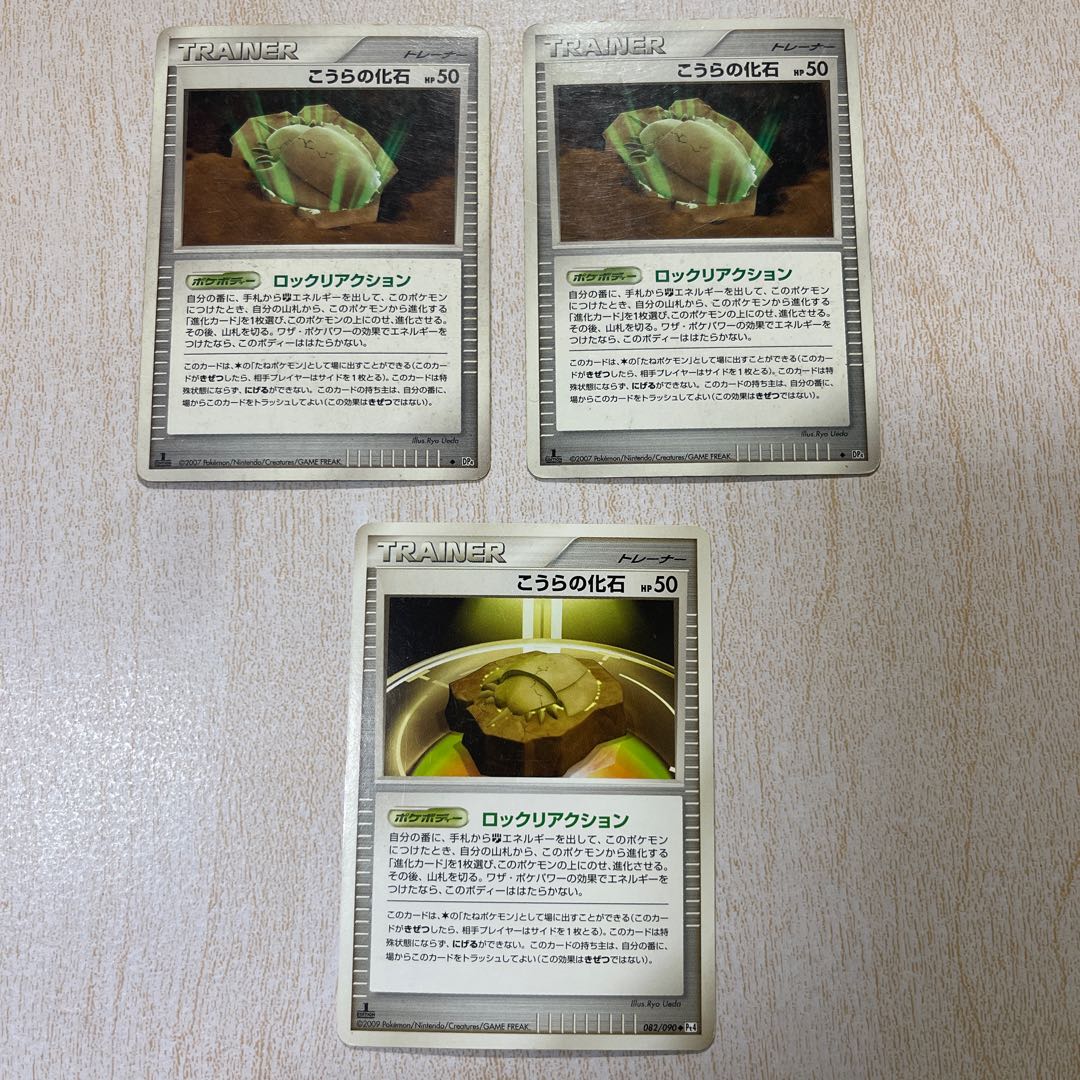 こうらの化石 1枚