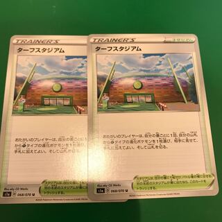 ターフスタジアム2枚