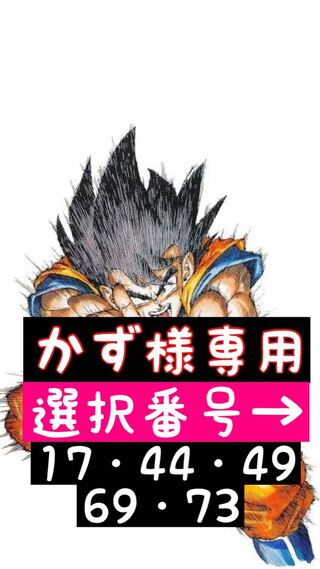 かず様専用！5口！ビンゴゲーム＆超豪華保証！No.1