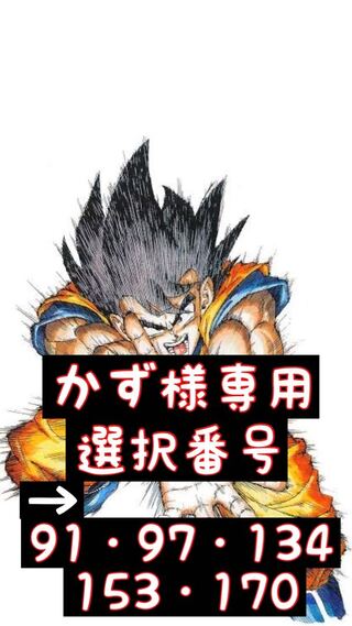 かず様専用！5口！超豪華保証＆ビンゴゲーム付き！No.2