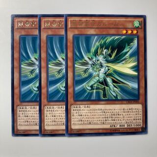 Garum the Storm Vassal $1931