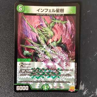 大特価 インフェル星樹