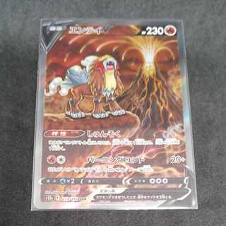 SAR] EnteiV SAR 213/172