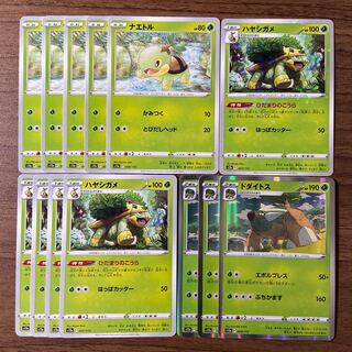 ナエトル ハヤシガメ ドダイトス 計13枚