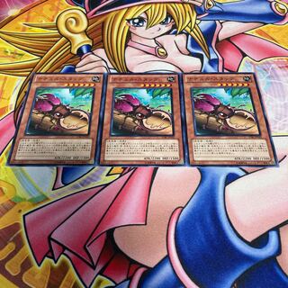 Naturia Stag Beetle Normal JP032