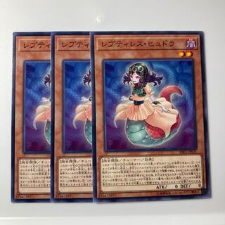 7905 Reptilianne Lamia $2024