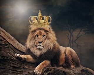 だい様専用 1枚