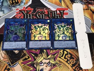 エクスゴート・トーカー ウルトラ 3枚セット