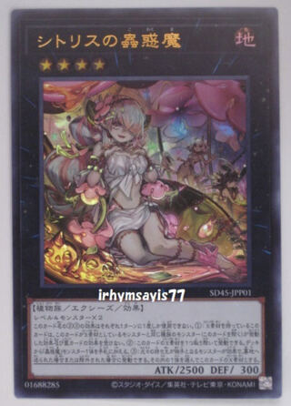 Yu-Gi-Oh! Sito Squirrel's Mushi-Kuma Ultra Rare 1 copy unused Japanese edition SD45 Qty 9 Structure Deck Mushi-Kuma's Forest 1枚