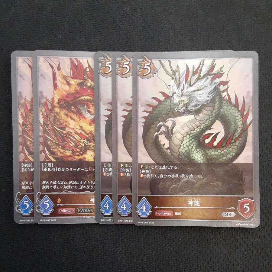 神龍 進化セット