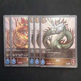 神龍　進化セット