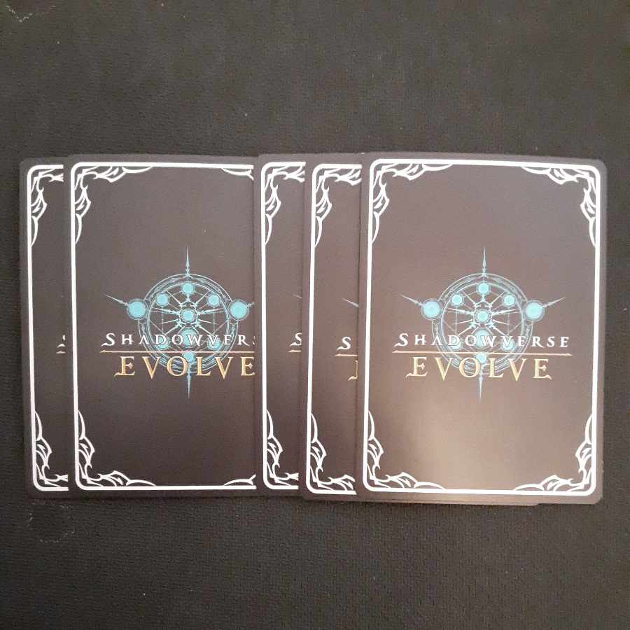 神龍 進化セット