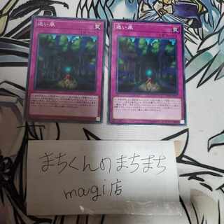 1122　迷い風 ノーマル JP037　2枚set