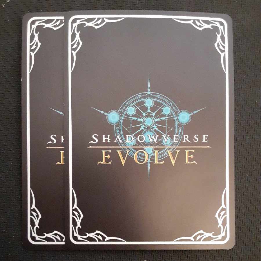 エクスキューション SR 2枚