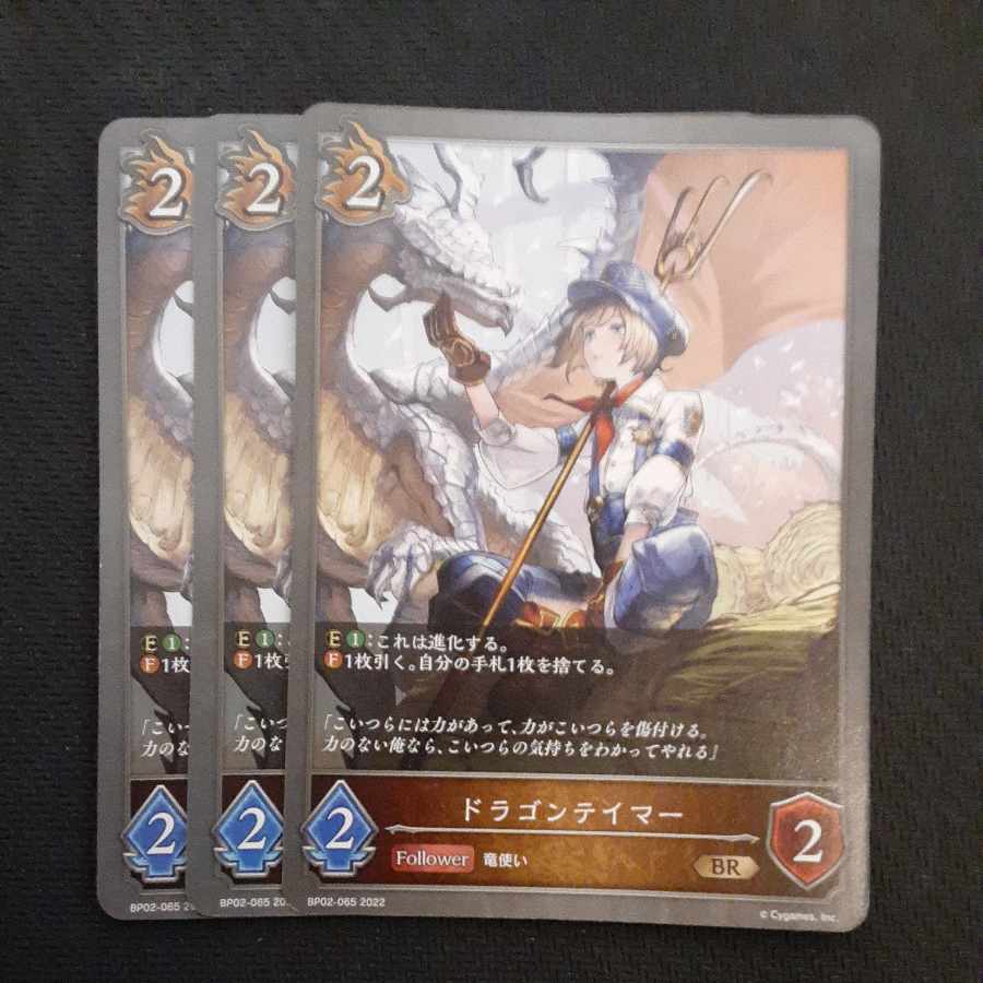 Dragon tamer BR 3 pieces