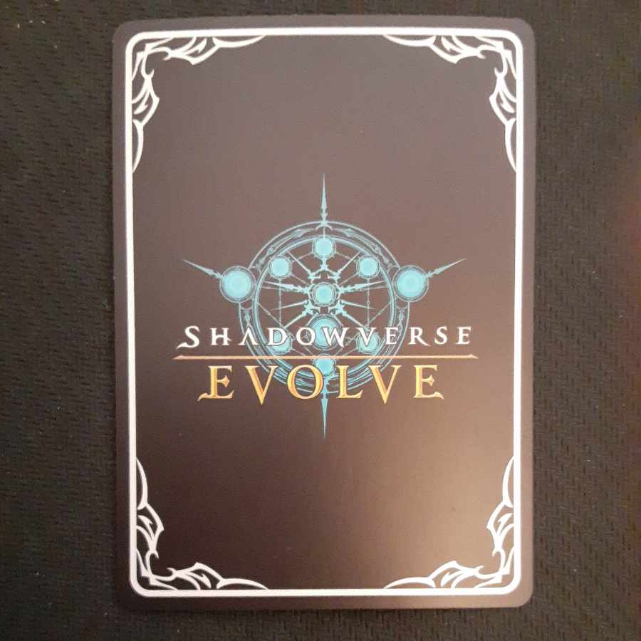 Dorothy, the dimensional witch LG EVOLVE