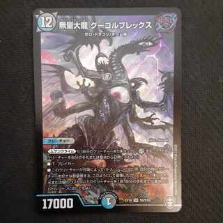 無量大龍 グーゴルプレックス SR S5/S10