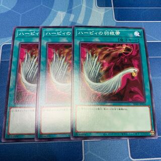 ハーピィの羽根帚 ノーマル