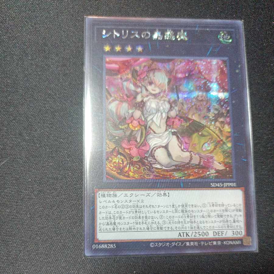 Sito Squirrel's Insect Beguiling Demon Secret Rare (New) （538602143 ...