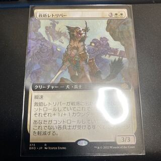 Rescue Retriever Extension Frame